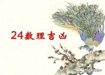 24數字吉凶|姓名學中數理24的吉凶運勢